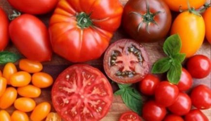 Раскрыты способы вырастить самые вкусные помидоры на участке