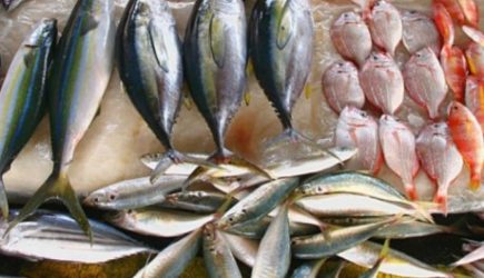 Названы 3 самых опасных сорта рыбы