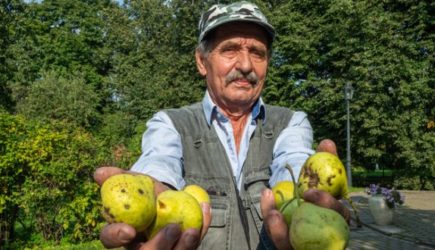 Снимите кожуру: Пенсионеров предостерегли от злоупотребления популярным фруктом