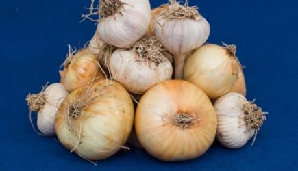 Онколог назвала две причины отказаться от лука и чеснока