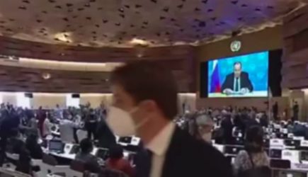 В ЕС оскорбились уходом Лаврова с заседания Совбеза ООН