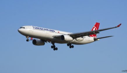 Пассажиры трех рейсов Turkish Airlines остались без багажа по возвращении в Домодедово