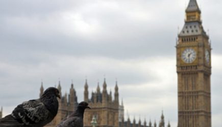 «Мрачная картина»: В парламенте Британии признали истощение арсеналов