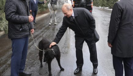 В ЕС предложили ввести санкции против собаки Путина от безысходности
