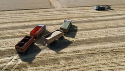 Ограничения на импорт украинских зерновых
