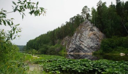 Заблудившийся в тайге 10-летний мальчик найден