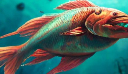 Гороскоп на июль: Рыбы будут полны энергии, но не забывайте про меру