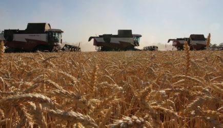 Россия объявила о выходе из зерновой сделки: реакция мирового сообщества
