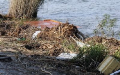 Страшное увидели, когда ушла вода: находка на дне Каховского водохранилища