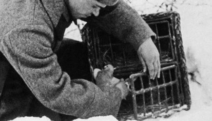 РЕН ТВ расскажет, как голуби спасали жизни советских подводников