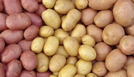Как без варки определить вкус картофеля: поможет эта хитрость
