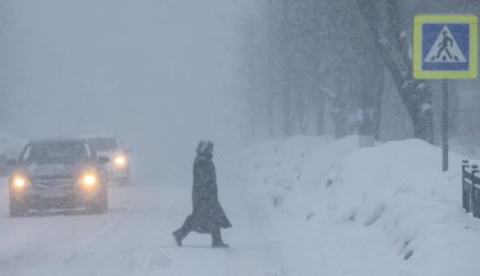 Даже Вильфанд под впечатлением: эксперт считает нынешнюю зиму ненормальной