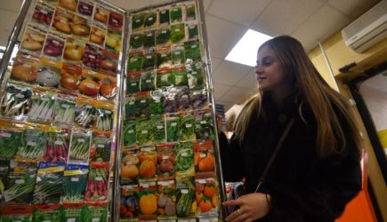 Россияне массово скупают два товара перед дачным сезоном