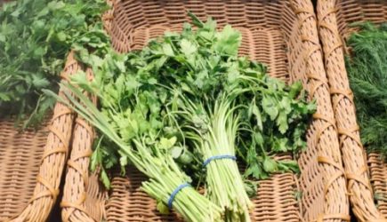 Зачем оставлять корешки от купленной зелени: собираем по 5 урожаев из ничего