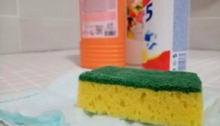 Какие средства эффективны в борьбе с плесенью: опытные хозяйки составили полный список