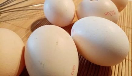 Как использовать яичную скорлупу на даче: 5 методов &#8212; не все о них знают