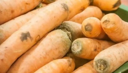 Морковь и черника помогают улучшить зрение: правда или миф