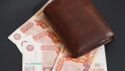 Штраф до 600 тысяч рублей за неправильное обращение с навозом появится в РФ