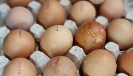 Если заметили это &ndash; не ешьте: простой способ, как быстро определить несвежие яйца