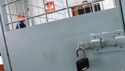 Россиян предупредили о тюремном сроке за сбор диких растений