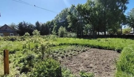 Почему умные огородники не выбрасывают крышки от пластиковых бутылок: эти вещи пригодятся на даче — 3 варианта использования