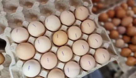 Какого цвета яйца лучше покупать в магазине &ndash; белого или коричневого