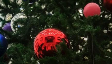 Зеленая Деревянная Змея: что нужно знать о символе 2025 года