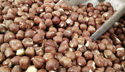 Петербуржцам посоветовали есть орехи для восполнения белка в организме