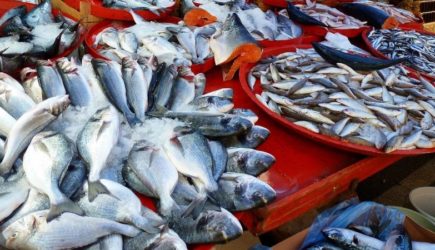 Такая рыба — враг для вашего организма: в ней живут паразиты — запомните этот список на всю жизнь