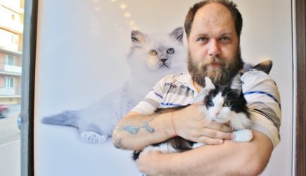 Эти питомцы точно не оставят ваши руки без царапок: 5 самых кусачих пород кошек