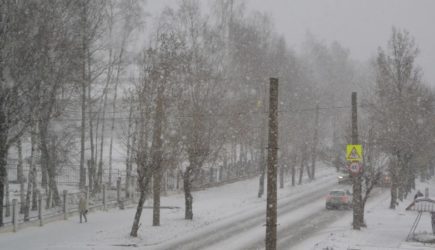 В мае нас накроют снегопады: синоптики спрогнозировали похолодание и заморозки
