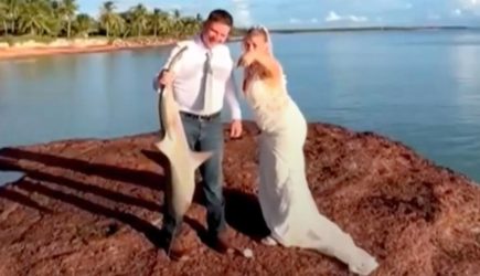 Невеста решила развеяться в день свадьбы, выпила пива и вытащила из воды крупную акулу