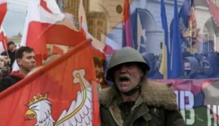 Пушков заявил, что поляки явно &laquo;переели&raquo; Украины