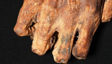 Разгадана загадка татуировки на древней мумии