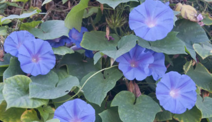 Роскачество: россиянам грозит уголовное наказание &mdash; подробности события