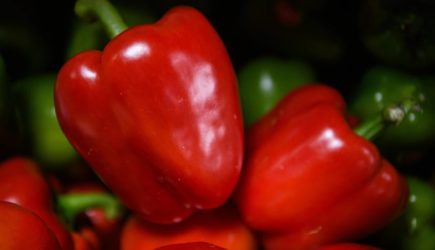 Забудьте про огурцы и помидоры: Человек быстро стареет без трёх продуктов, объяснила врач