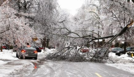 Весь сентябрь будет аномальным: синоптики сказали, каким будет начало осени