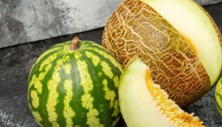 Врач опроверг миф о том, что арбуз и дыня очищают организм
