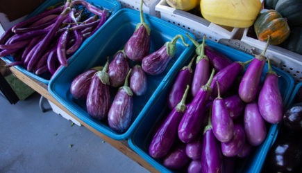 5 овощей, в которых пользы не больше, чем вреда. С какими овощами стоит быть осторожными, отвечает врач-диетолог