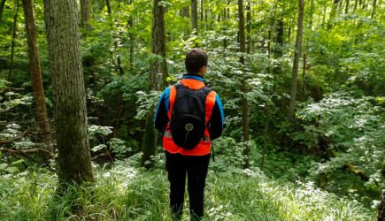 В России в лесу пропала женщина с пятью детьми