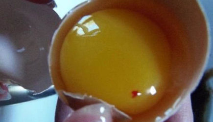 Откуда берется капля крови в желтках. Безопасно ли есть такое яйцо
