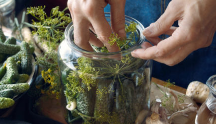 Маринованные огурцы с яблочным уксусом и имбирем