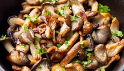 Токсиколог объяснил, почему нельзя есть грибы с дачного участка