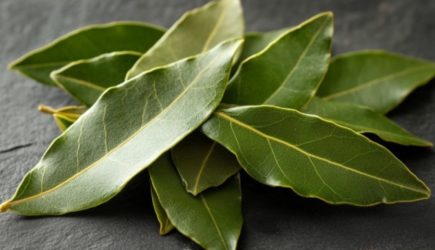 Лавровый лист: чем полезен и кому нельзя
