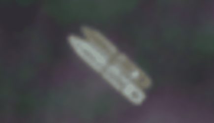 &laquo;Газпром&raquo; нашел покупателей на&nbsp;санкционный СПГ: газ перегружают прямо в&nbsp;море