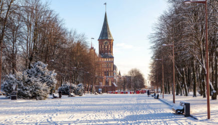 &laquo;Их сожрут&raquo;: депутат об угрозах Польши уничтожить Калининград