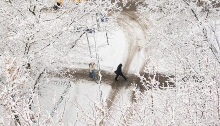 Длительность снегопадов в Москве рассчитали