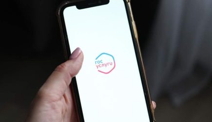 Юрист предупредил об использовании мошенниками логотипа портала &laquo;Госуслуг&raquo;