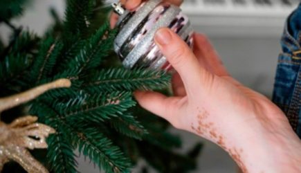 Живые ели создают праздник и угрозу: как уберечься от новогодних клещей