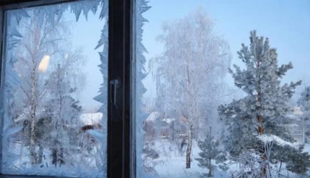 На Татьянин день в Москве ударят аномальные морозы: От прогноза синоптиков становится страшновато
